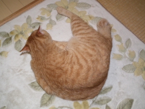 d0358843_01005251.jpg