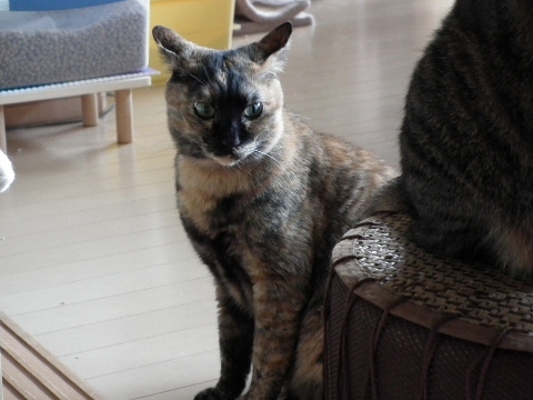 d0358843_01005255.jpg