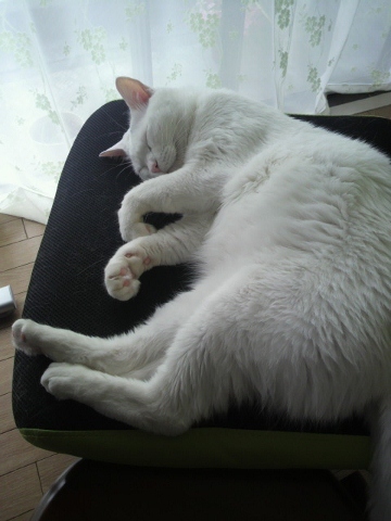 d0358843_06523041.jpg