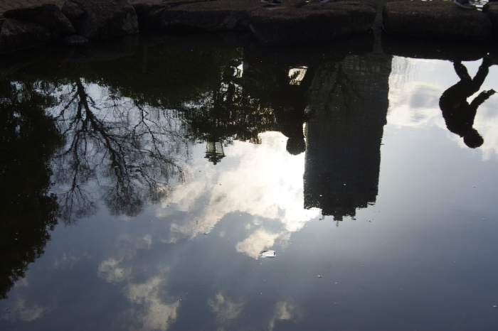 東京の川7_d0185744_17065824.jpg