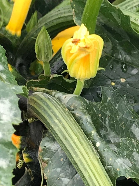 c0343447_23115784.jpg