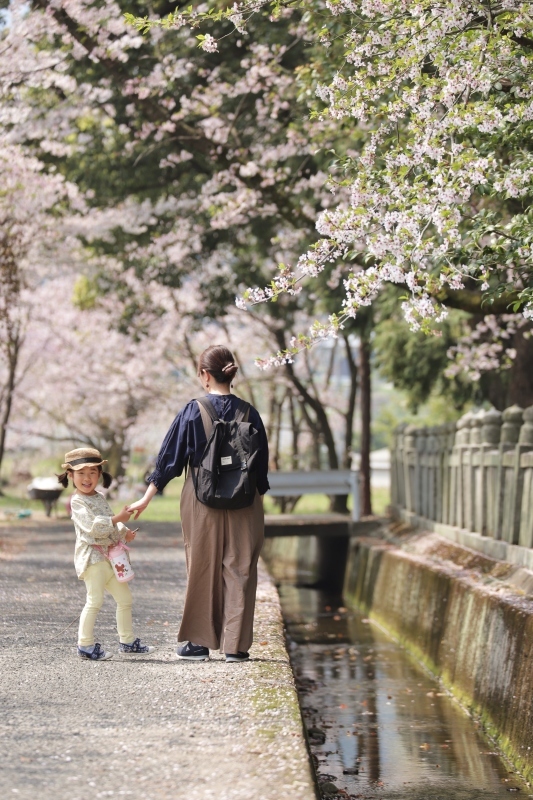 春の愛媛帰省⑥すすきが原公園_a0299749_22503313.jpg