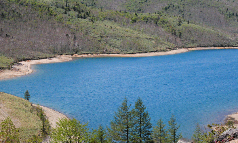 a0001354_19403149.gif