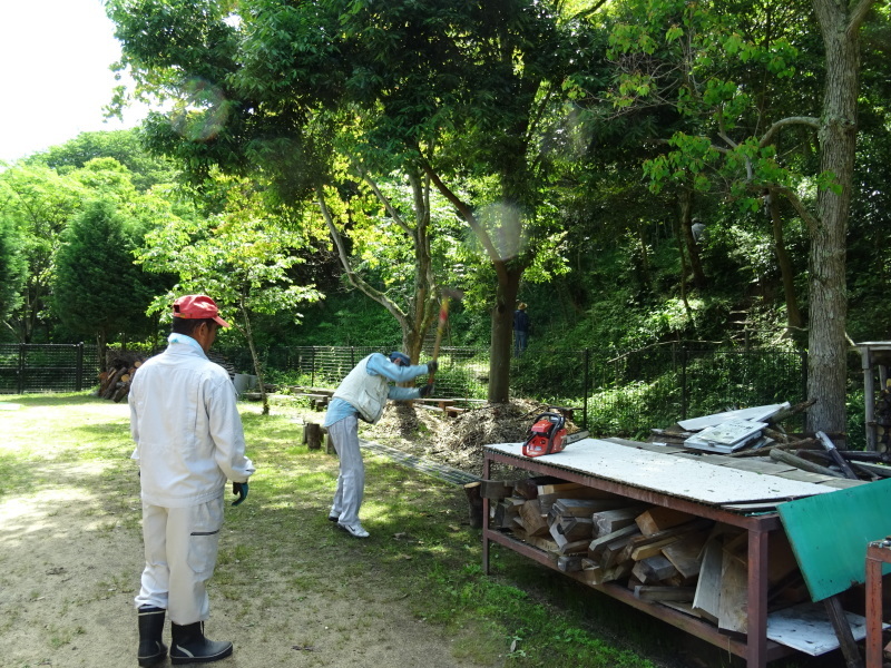 うみべの森樹木観察 & ササユリ鑑賞_c0108460_21354557.jpg