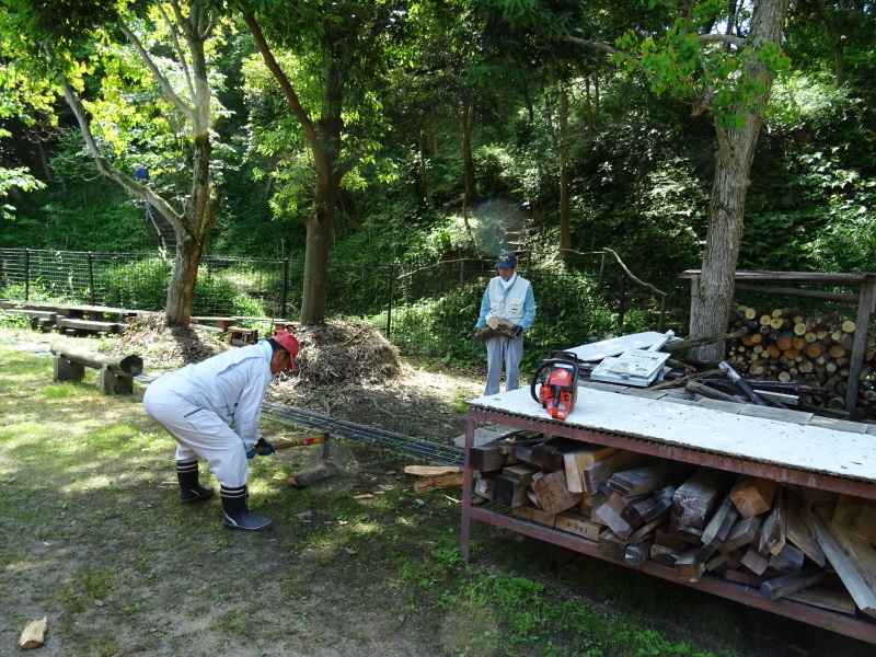 うみべの森樹木観察 & ササユリ鑑賞_c0108460_21361233.jpg