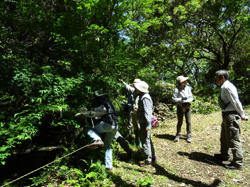 うみべの森樹木観察　＆　ササユリ鑑賞_c0108460_21364421.jpg