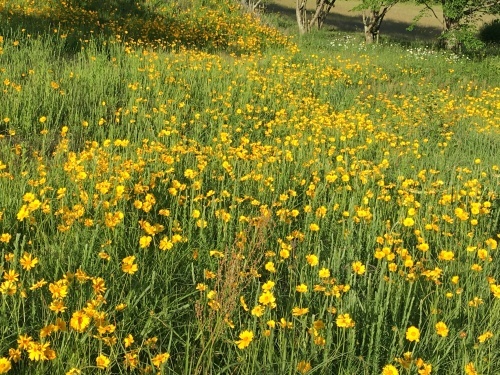 青蓮寺ダムのスロープ 冨岡魂 青蓮寺ダムのスロープ 冨岡魂