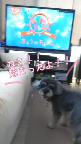 トレーニングブログ_f0357682_20451039.jpg