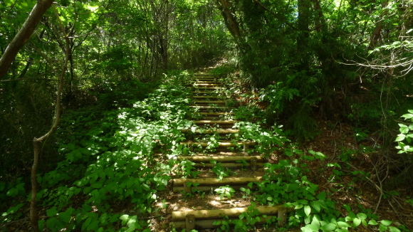 c0212083_17545147.jpg