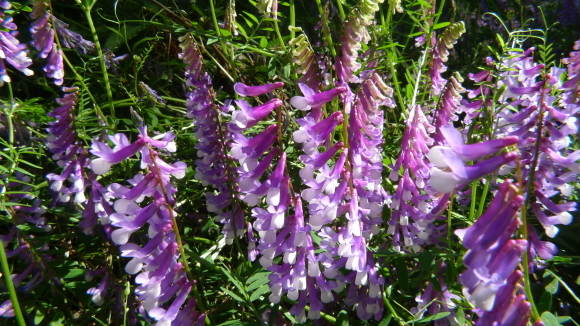 c0212083_17561024.jpg