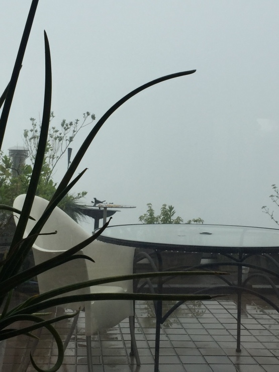 b0098584_19064090.jpeg