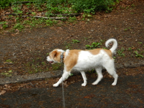 c0253487_01244362.jpg