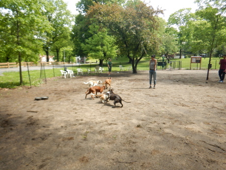 c0253487_01363237.jpg