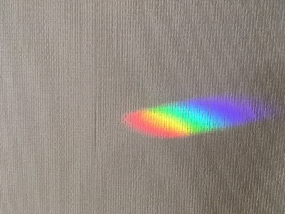 太陽の光_d0261589_22401426.jpg