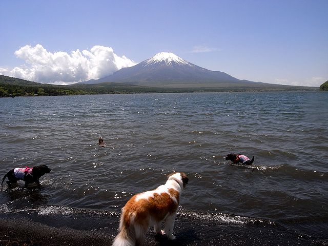 a0093592_01234003.jpg