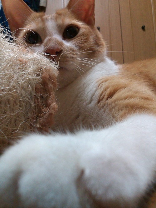 ポートレート撮影_a0333195_22335044.jpg