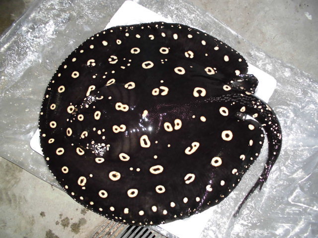 e0143096_14051080.jpg