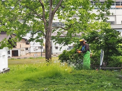 二人の草刈り男_c0336902_20080617.jpg