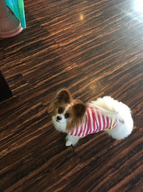 f0034602_20261736.jpeg