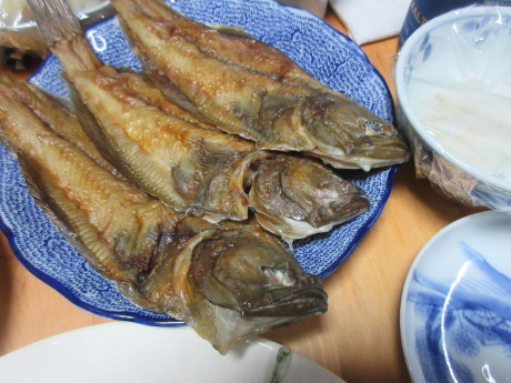 a0203003_20111954.jpg