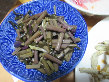 a0203003_20120400.jpg