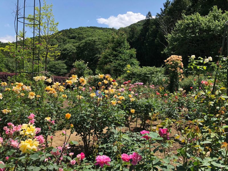 柚子の町の・・・モナcafeに行ってきました　2018_f0369005_23452625.jpg