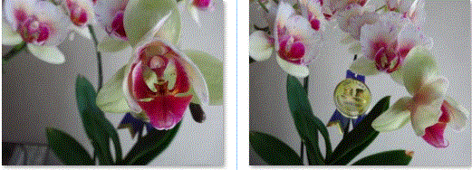 f0231709_14391313.gif