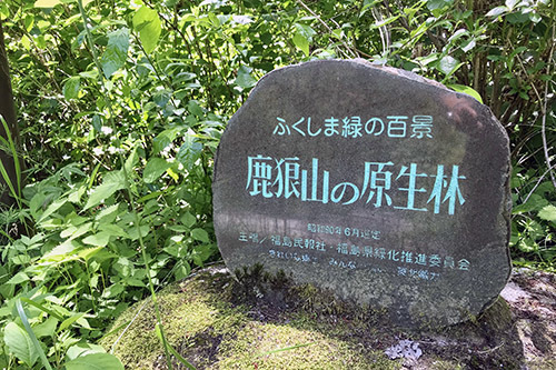 c0148812_20542009.jpg