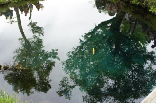 f0215714_16473776.jpg