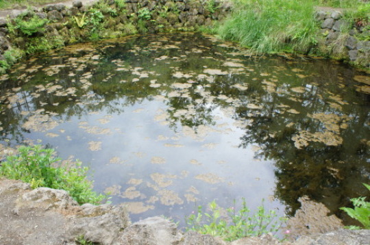 f0215714_16480212.jpg