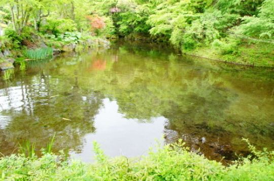f0215714_16481705.jpg