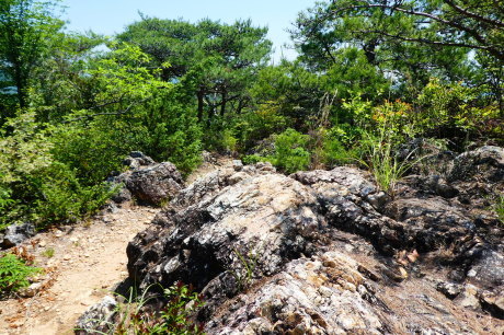 大平山 (291M)   登頂・下山 編_d0170615_20562452.jpg