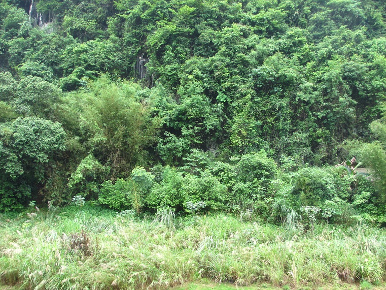 e0365419_9291251.jpg