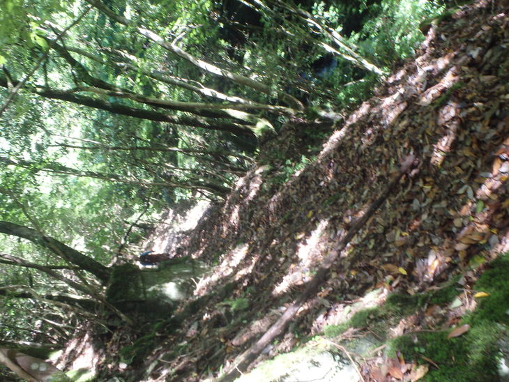 f0193521_1236012.jpg