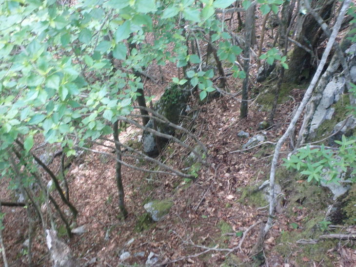 f0193521_1249873.jpg