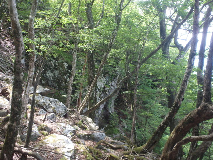 f0193521_1251674.jpg