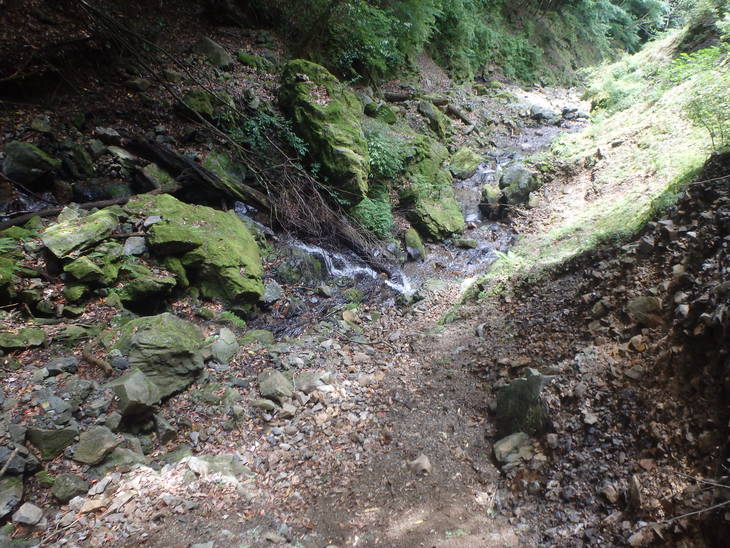 f0193521_12535151.jpg