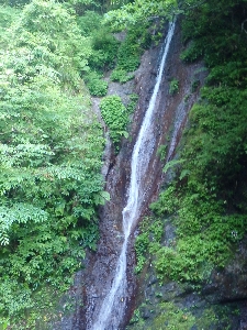 f0193521_93195.jpg