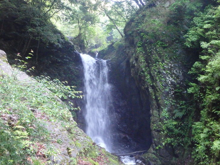 f0193521_9321639.jpg
