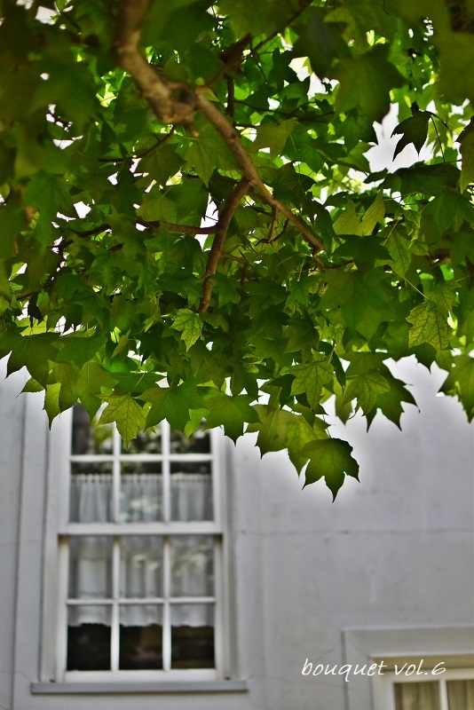 f0281724_18050172.jpg