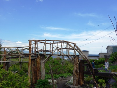 c0204725_23413168.jpg