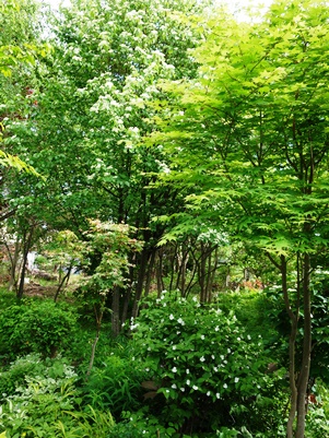 c0204725_23592410.jpg