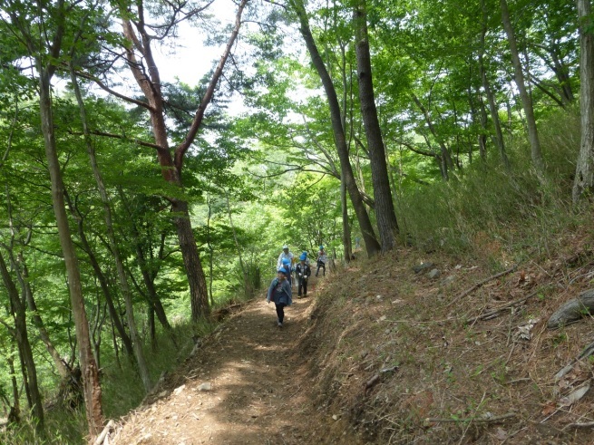 2018年5月17日（木）　 臨時　（多田東小「里山体験学習」）_d0024426_18041885.jpg