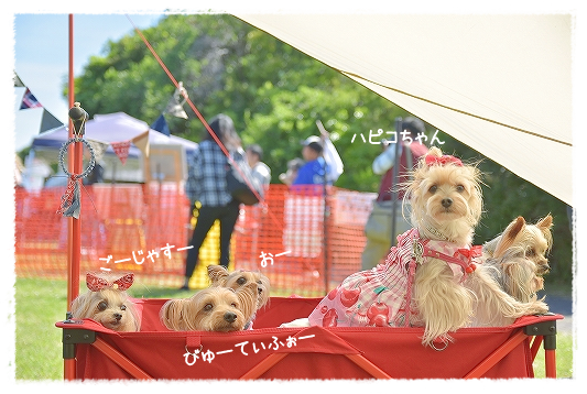 d0179828_00521335.png