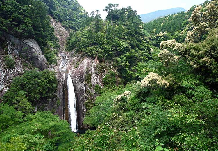 d0147530_09561383.jpg