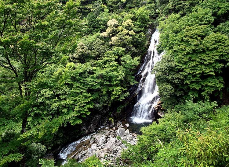 d0147530_09565377.jpg