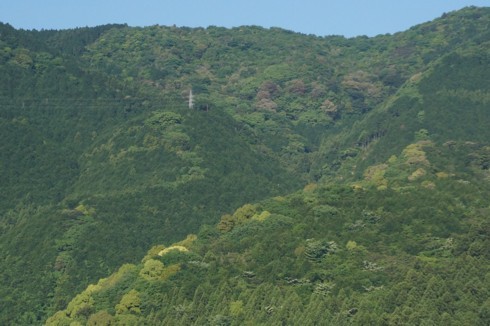 五月雨に和らぐ山肌_f0055131_21061833.jpg