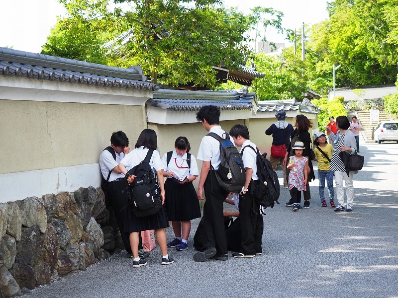 新緑の季節_e0374932_06382768.jpg
