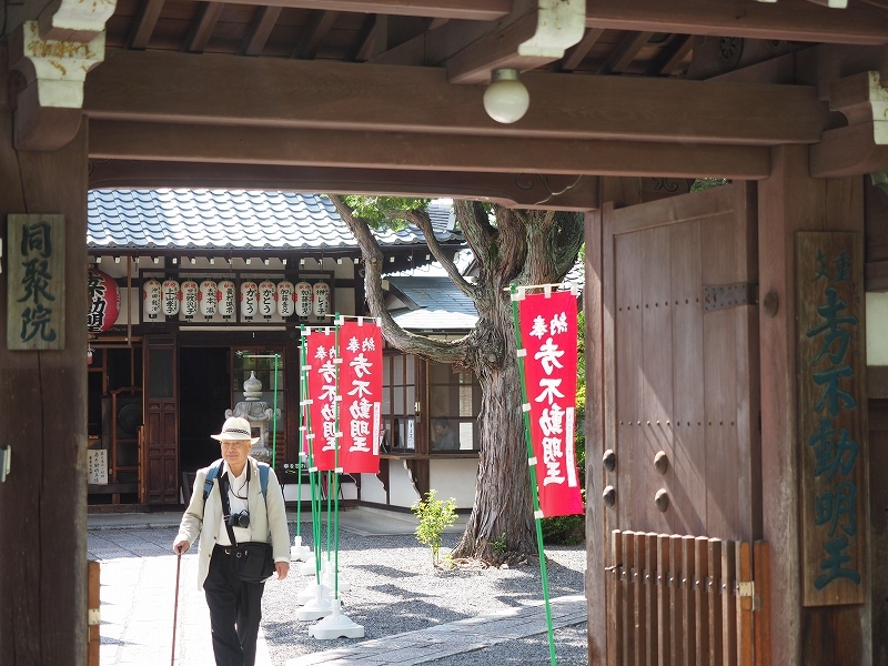 新緑の季節_e0374932_06382997.jpg