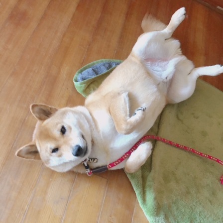 c0367433_15201257.jpeg